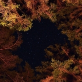 Hvězdy nad ohništěm | fotografie