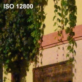 ISO 12800 - 100% výřez z fotografie bez úprav.