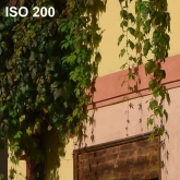 ISO 200 - 100% výřez z fotografie bez úprav.