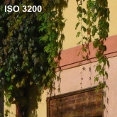 ISO 3200 - 100% výřez z fotografie bez úprav.